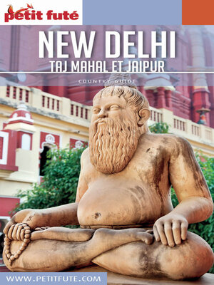 cover image of New Delhi 2017 Petit Futé